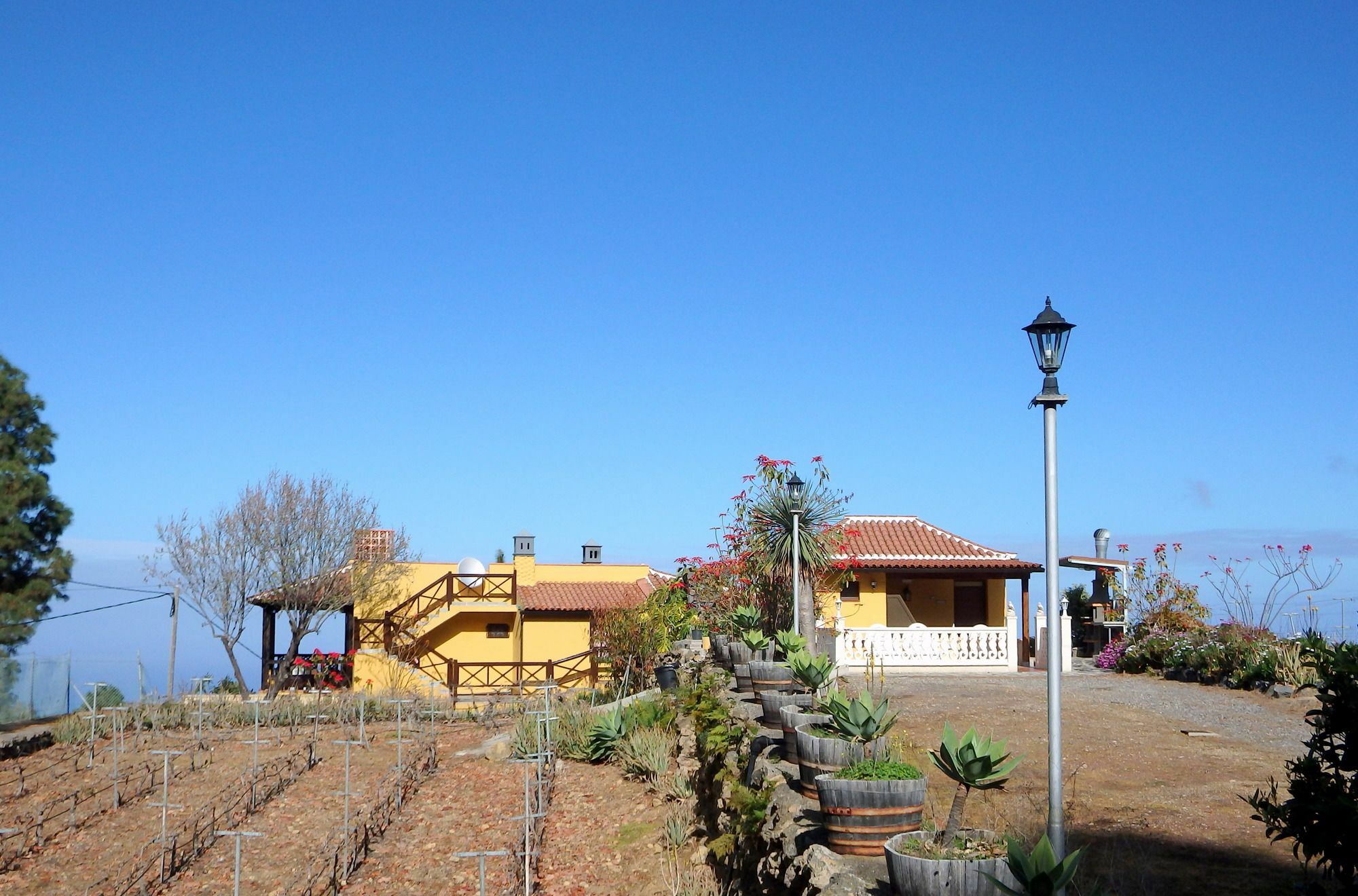 El Lagar Villa Icod De Los Vinos Dış mekan fotoğraf